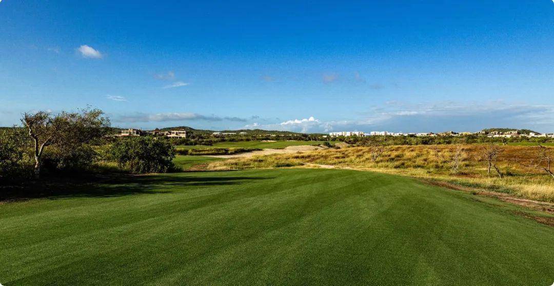 冲刺阶段塞维利亚备战社区盾，迎来里程碑细节曝光，气氛紧张，资深球员宣示担当的简单介绍-kaiyun